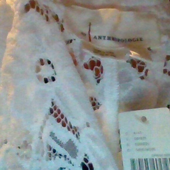 Brand New By Anthropologie Sheer Lace Boxer Shorts - Picture 5 of 5